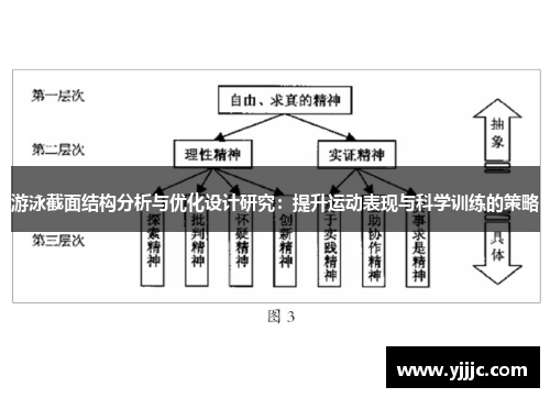 游泳截面结构分析与优化设计研究：提升运动表现与科学训练的策略